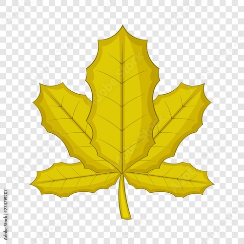 Sycamore leaf icon. Cartoon illustration of sycamore vector icon for web