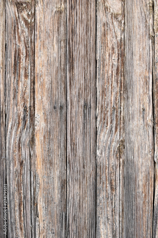 Wood old texture of tree nature background Wood old texture of tree nature background