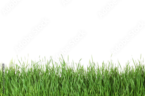 Beautiful vibrant green grass on white background