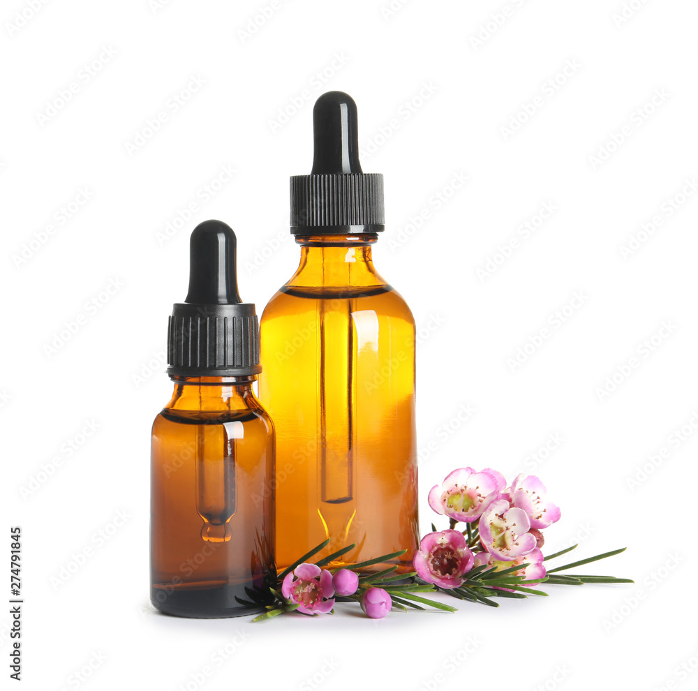 Bottles of natural oil and tea tree branch on white background Bottles of natural oil and tea tree branch on white background