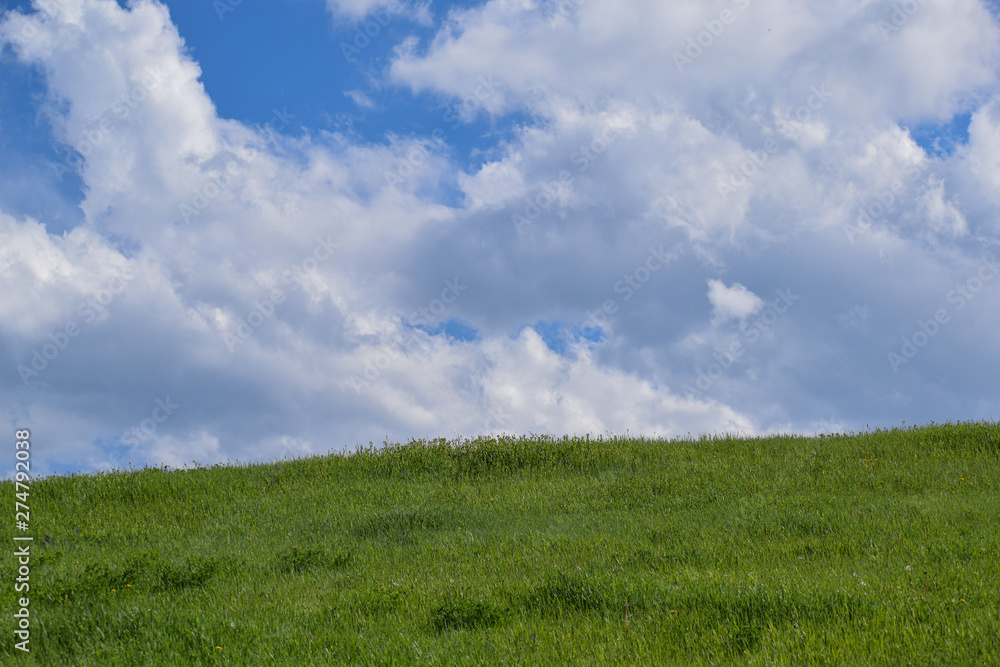 Split between green hillside and cloudy sky with blue sky peaking through Split between green hillside and cloudy sky with blue sky peaking through