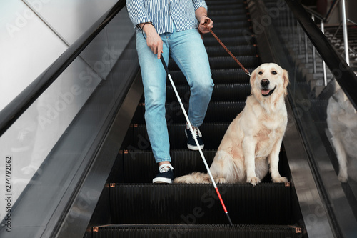 Blind person with long cane and guide dog on escalator indoors