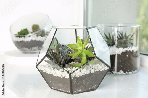 Glass florariums with different succulents on windowsill photo