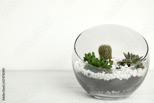 Glass florarium with different succulents on wooden table against white background, space for text