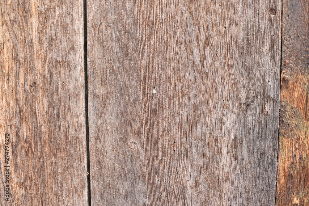 Wood texture of tree nature Wood texture of tree nature