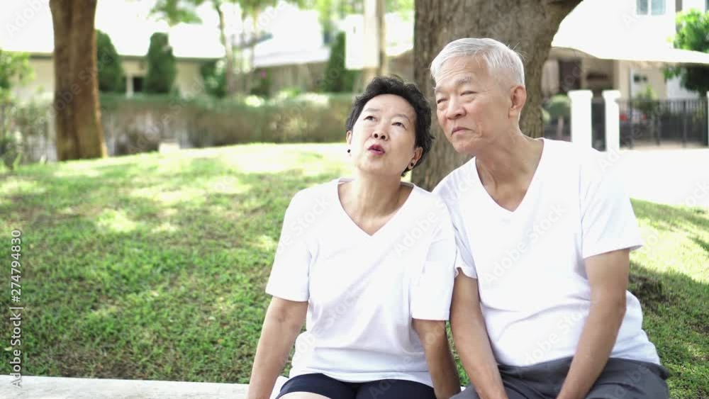 Asian senior couple chatting in nice neighbourhood park comfy living area Asian senior couple chatting in nice neighbourhood park comfy living area
