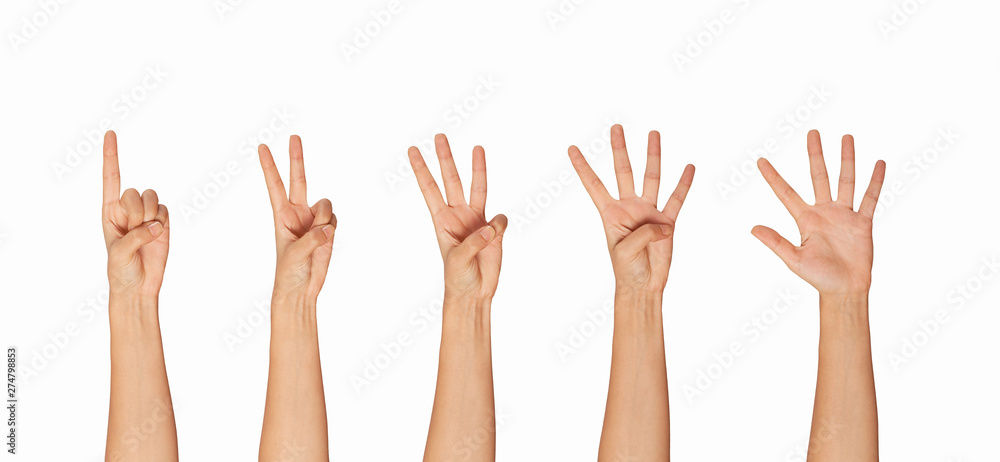 Multiple female caucasian hand gestures isolated over the white background, set of multiple images Multiple female caucasian hand gestures isolated over the white background, set of multiple images