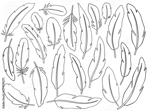 Tribal Feathers set decoration. Ethnic boho style hand drawing.