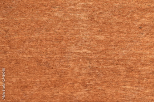 Wallpaper Mural Texture tree wood background nature Torontodigital.ca