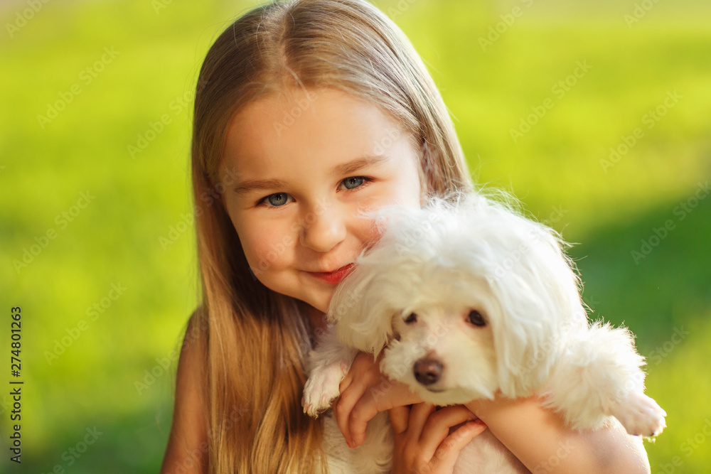 Little girl with a maltese puppy, outdoor summer Little girl with a maltese puppy, outdoor summer