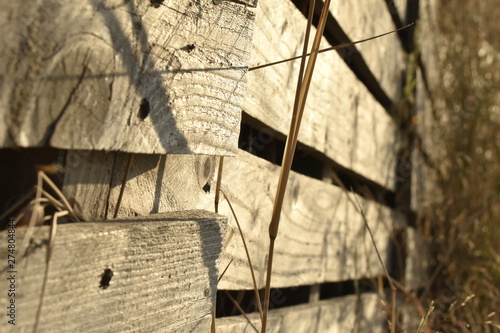 Landscape wood landscape