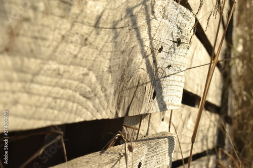 Landscape wood landscape