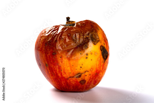 side view rotten apple on a white background