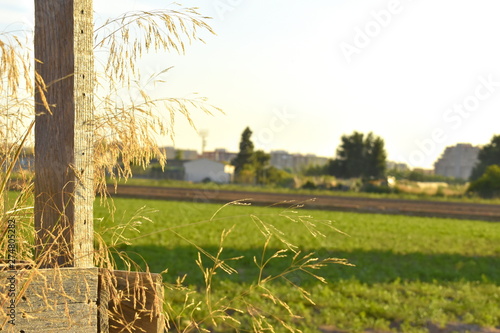 Paisaje madera naturaleza campo abierto