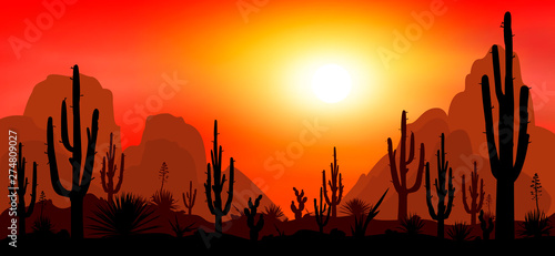 Stony desert with cacti 1. Sunset in the desert. Silhouettes of stones, cacti and plants. Desert landscape with cacti. The stony desert.