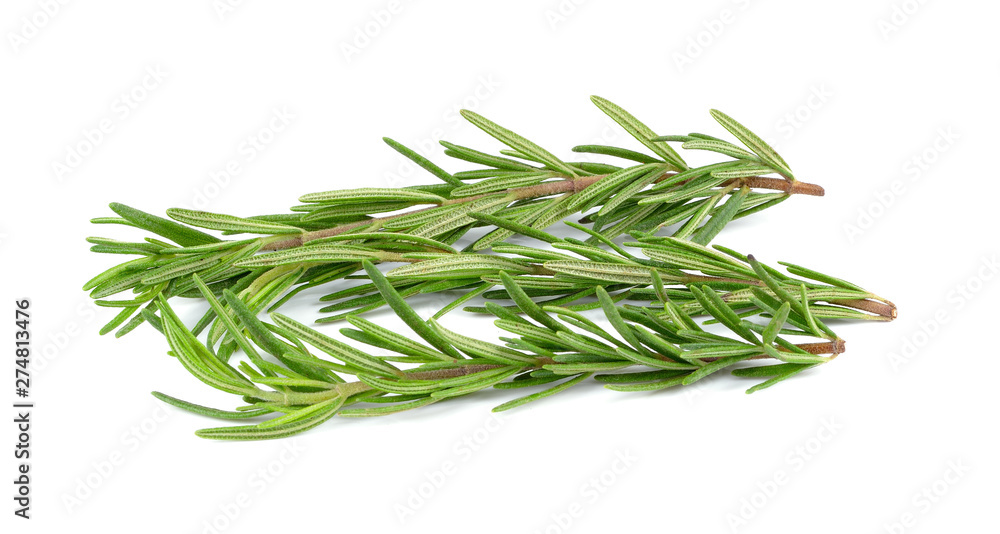 Rosemary isolated on white background