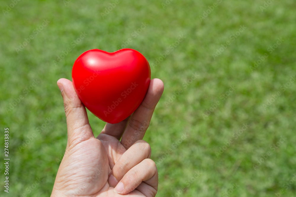Fototapeta premium Hand hold red heart with green
