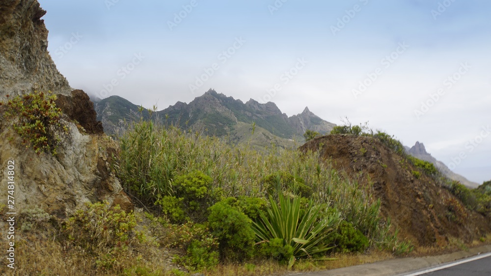 exotic landscape in anaga mountains