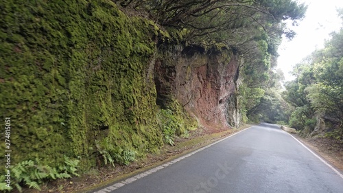 curvy serpentine roads in anaga mountains