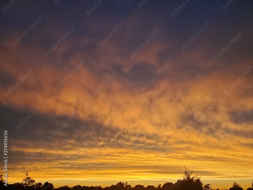 Fototapeta premium sunset over field