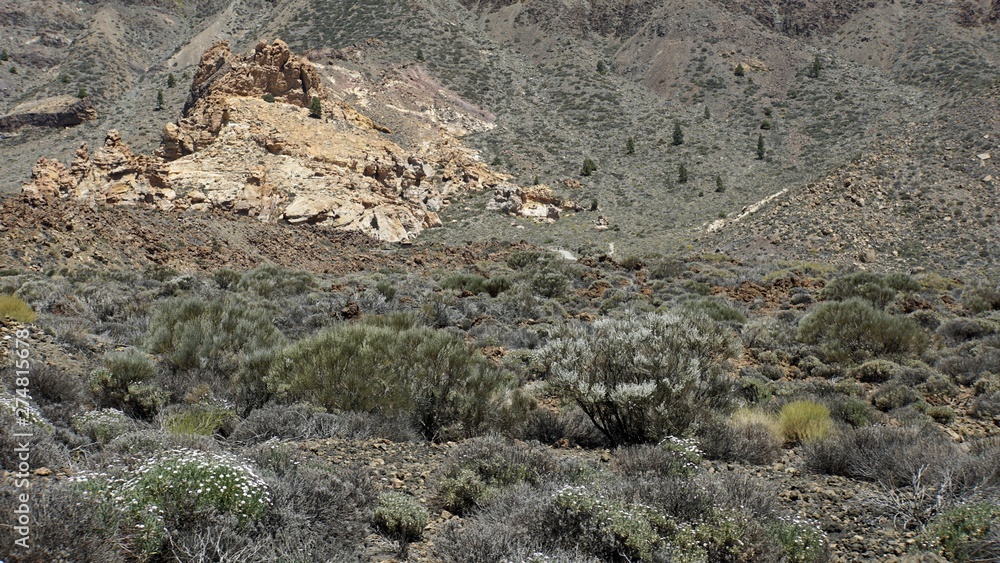rough volcanic landscpae on teide volcano rough volcanic landscpae on teide volcano