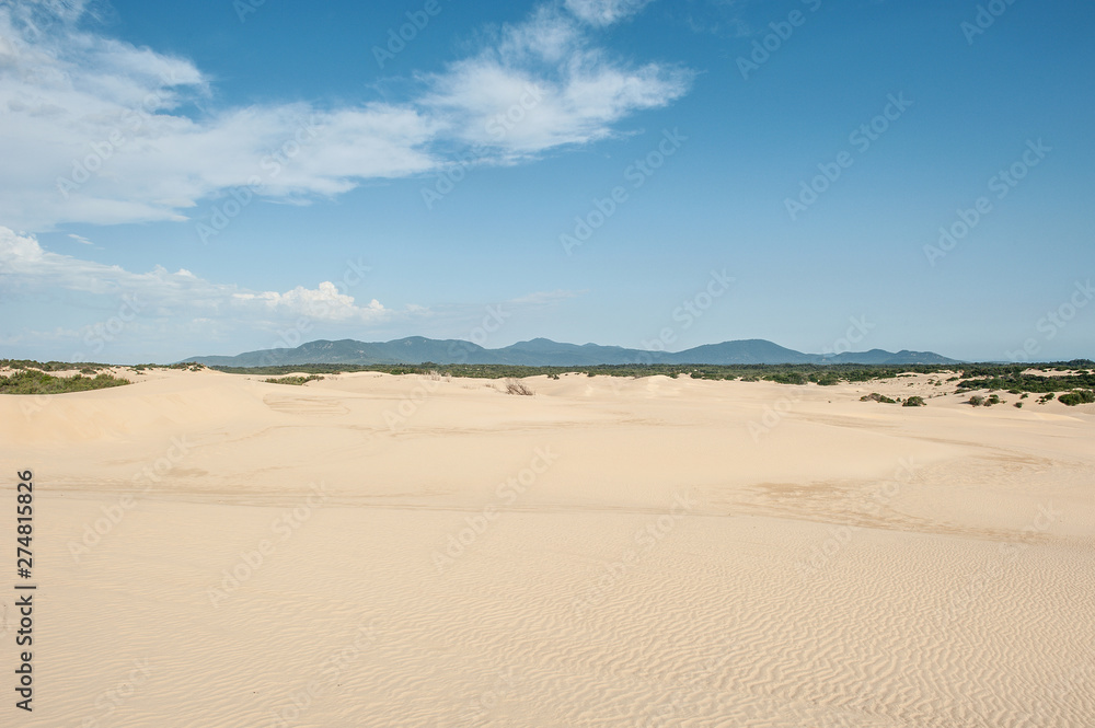 big drift sand dunes wilsons promontory national park victoria australia