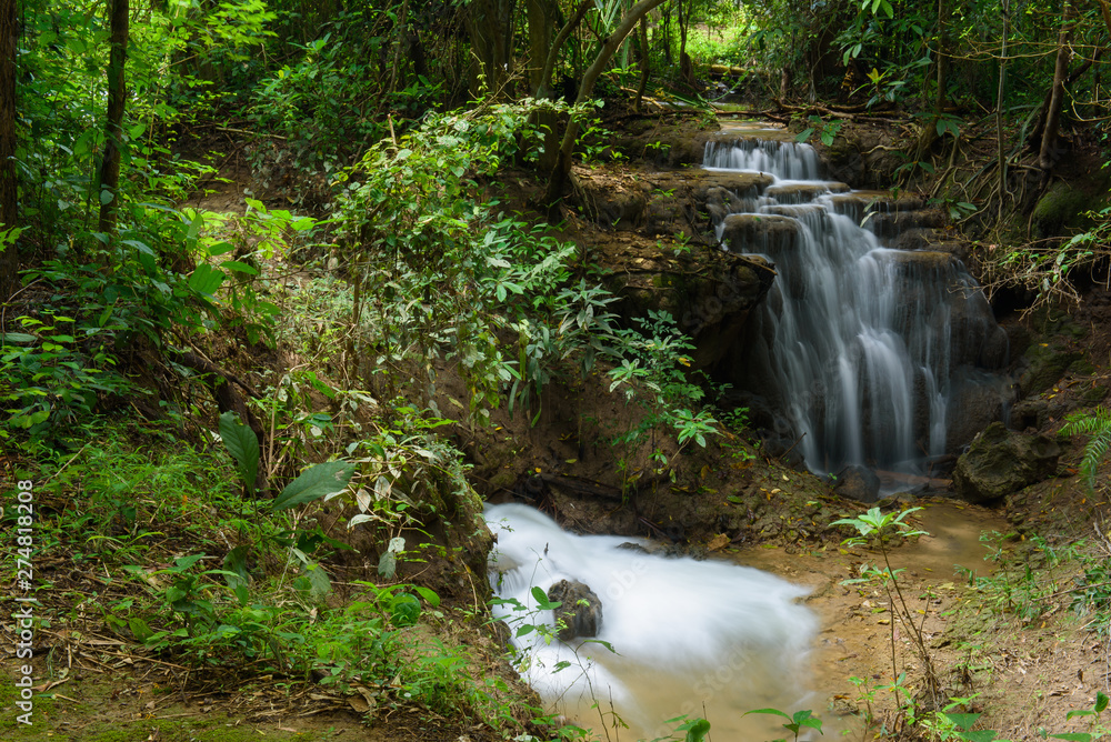 Fototapeta premium beautiful waterfall, forest background, landscape