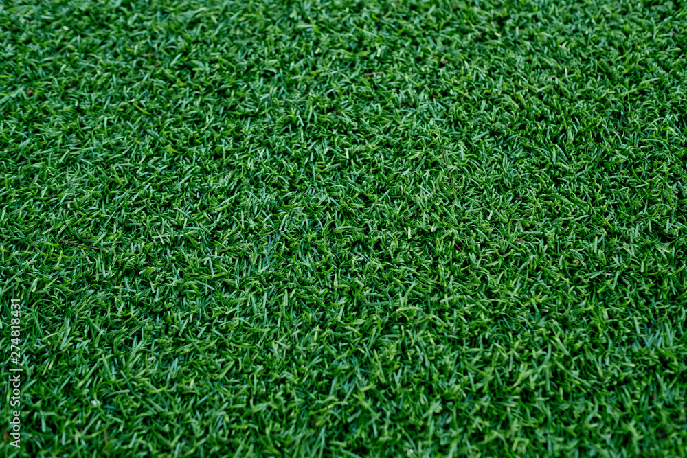 grass field background, green nature grass field background, green nature