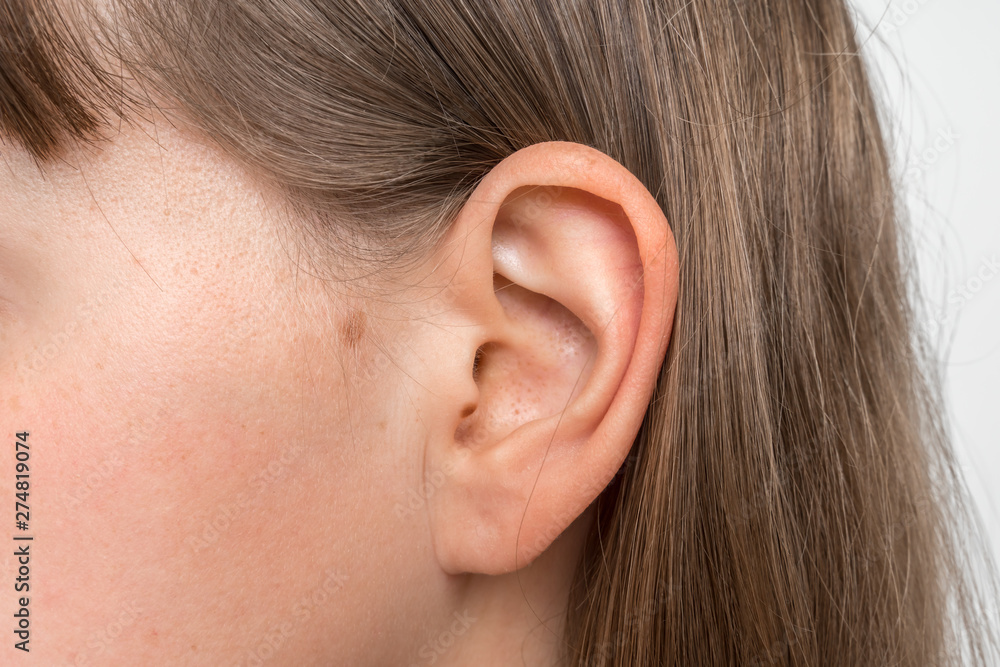 Fototapeta premium Close up of human head with female ear