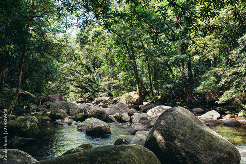 Mossman Gorge  Port Douglas  Cairns Queensland Australia 