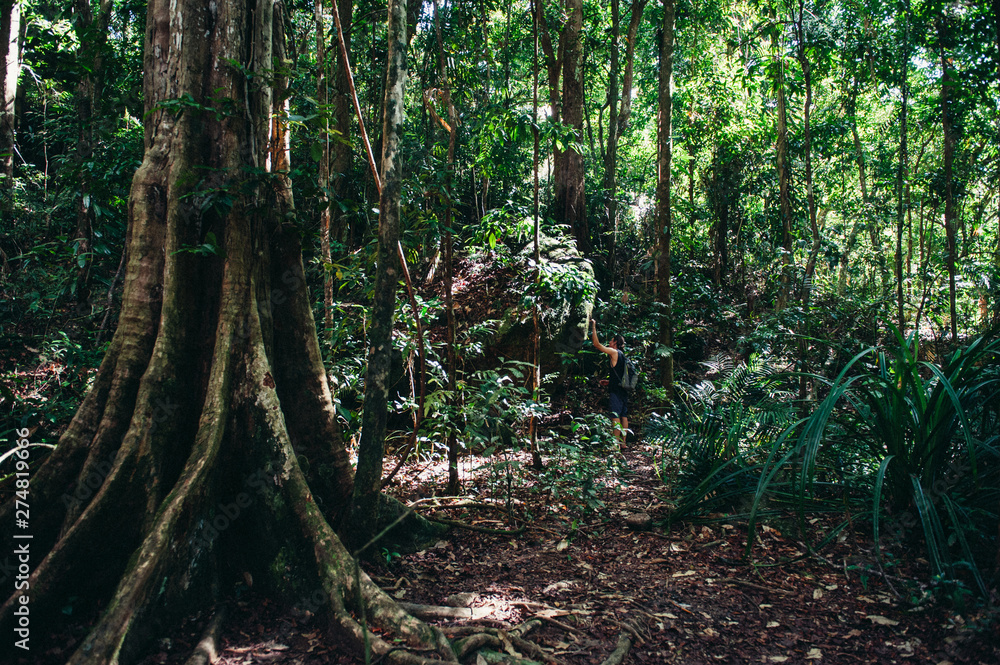 Mossman Gorge, Port Douglas, Cairns Queensland Australia Mossman Gorge, Port Douglas, Cairns Queensland Australia