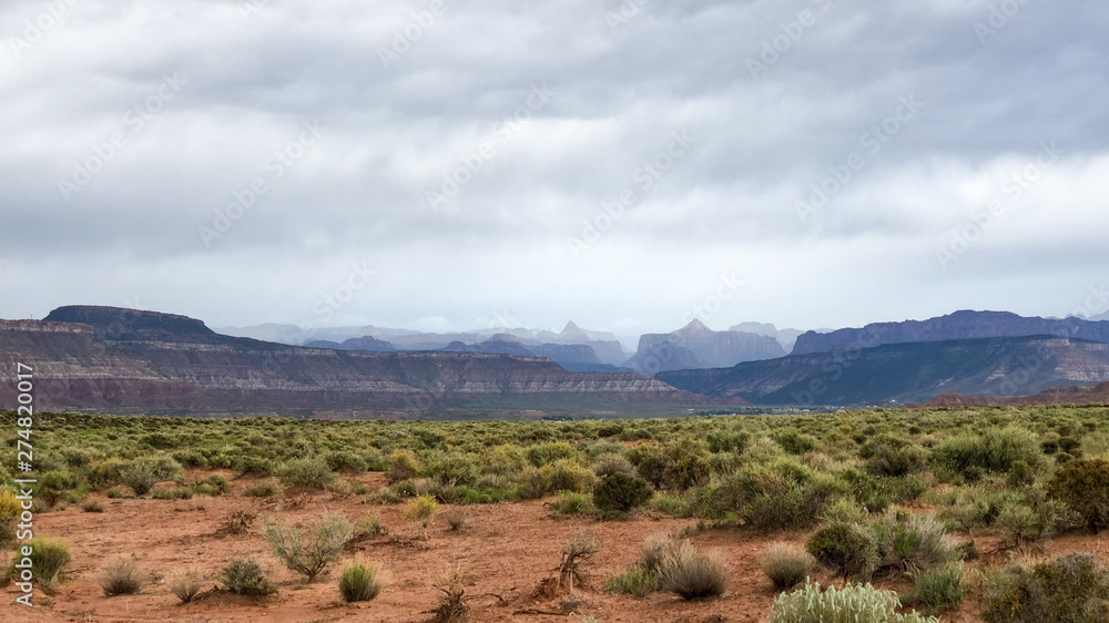 View into Zion National Park