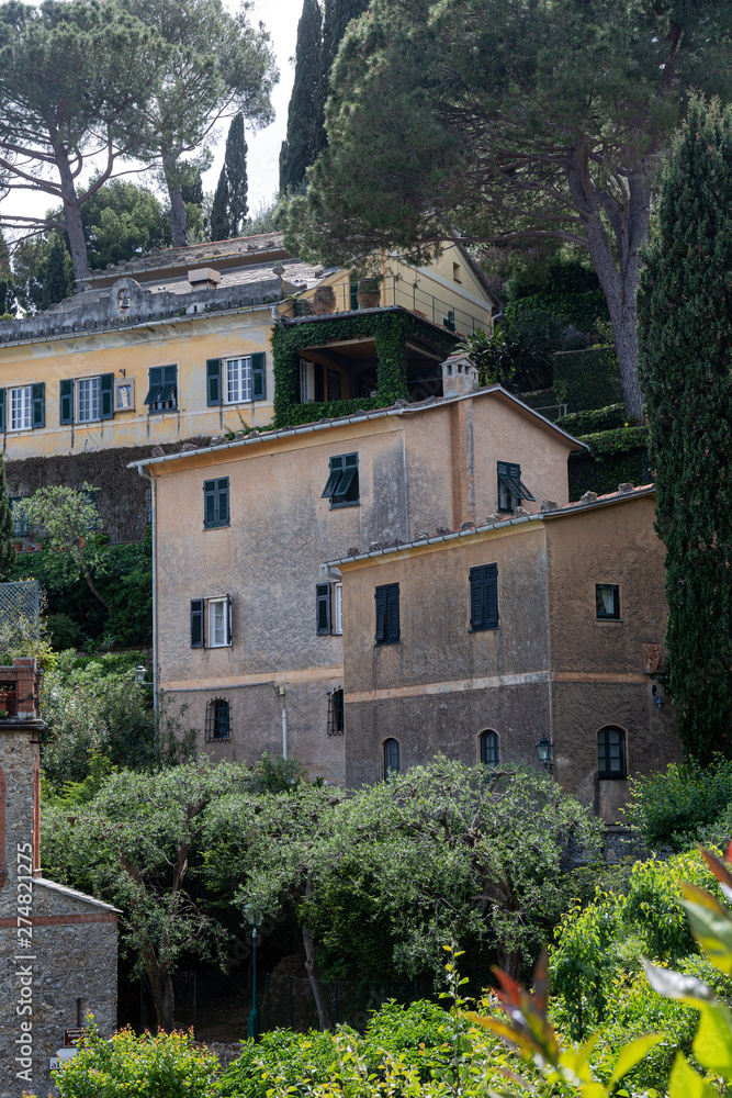 House and trees in Portofino House and trees in Portofino