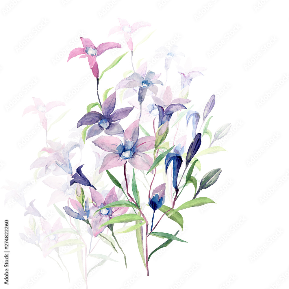 Fototapeta premium Flowerless drawing of a bouquet of flowers. Pattern on white and colored background.