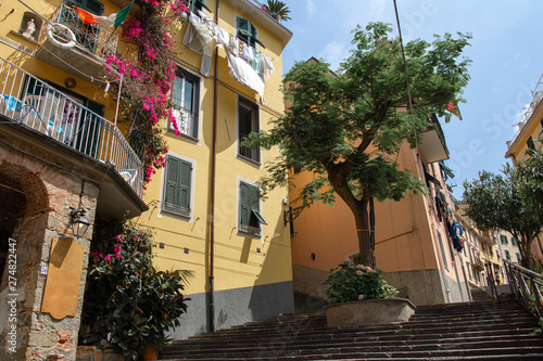 Riomaggiore in Cinque Terre, Italy. Beautiful streets with flowers. Summer cityscape © kucherav