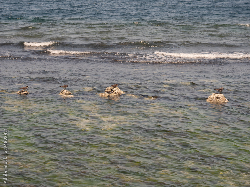 Fototapeta premium Jeddah Corniche, Western Saudi Arabia