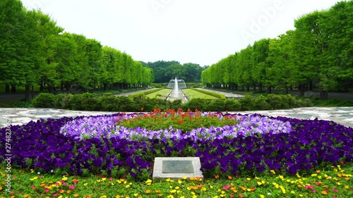 初夏の昭和記念公園