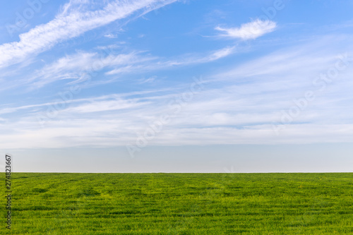Beautiful bright blue sky and lush green grass as a background or backdrop