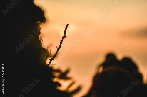 silhouette of man on background of sunset sky
