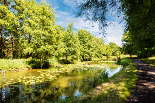 Magnifique paysage du lac de Soustons dans les Landes