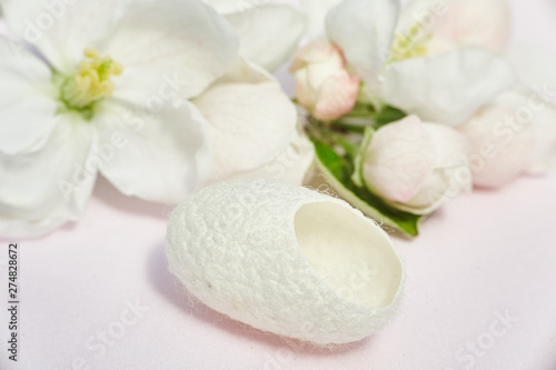 silkworm cocoon close-up for beauty treatments and flowers.