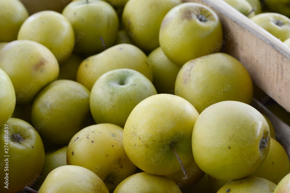 Apples on the market. Fresh organic yellow apples from the local farmers market. Apples background background texture seasoning Apples for sale. Apples on the market. Fresh organic yellow apples from the local farmers market. Apples background background texture seasoning Apples for sale.