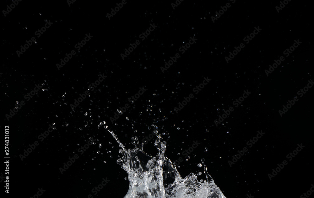 Fototapeta premium Salpicaduras de agua sobre fondo negro