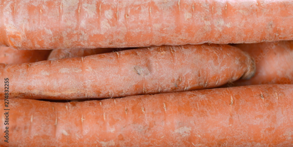 Red Carrots on market. Fresh vegetables offering by farmers, organic food concept. Red Carrots on market. Fresh vegetables offering by farmers, organic food concept.