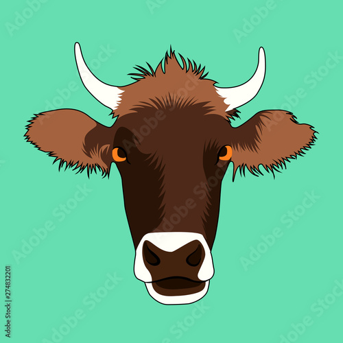 vector image with cow face on a turquoise background.  photo