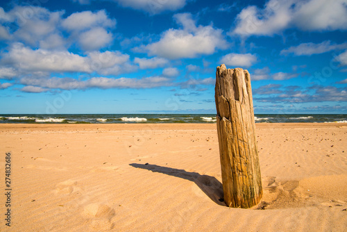 Fototapeta Naklejka Na Ścianę i Meble -  beach of the Baltic Sea in Orzechowo, Poland, with driftwood