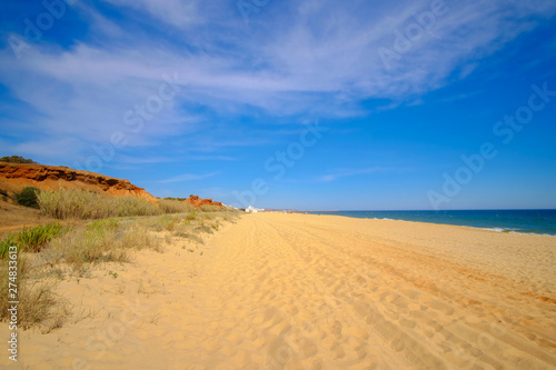View on the beautiful beach the Praia da Rocha Baixinha Nascente. Region Faro  Algarve  Portugal.
