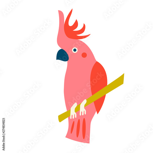 Cockatoo parrot isolated on white background