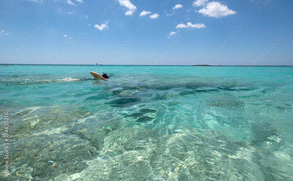 Schwimmerin mit Tauchmaske und Schnorchel beim Schwimmen in glasklarem Wasser , Naturbeobachung der Wasserwelt Schwimmerin mit Tauchmaske und Schnorchel beim Schwimmen in glasklarem Wasser , Naturbeobachung der Wasserwelt