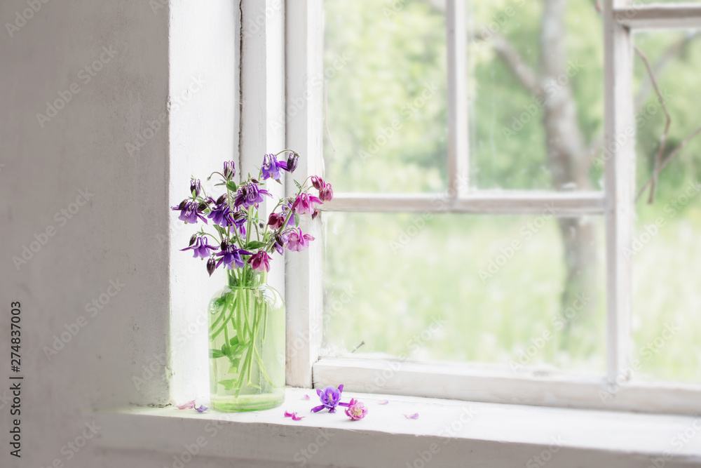 aquilegia flowers in green vase on windowsill